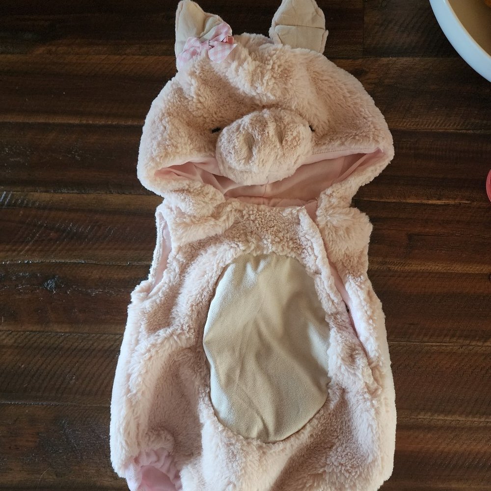 Pottery Barn Kids Infant Pig 🐷 Costume. 0-6 months. Pink